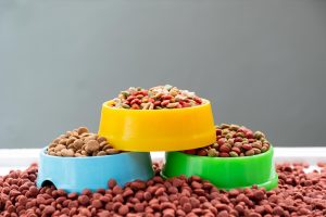 راهنمای خرید غذای حیوانات خانگی: چگونه بهترین غذا را برای پت خود انتخاب کنیم؟